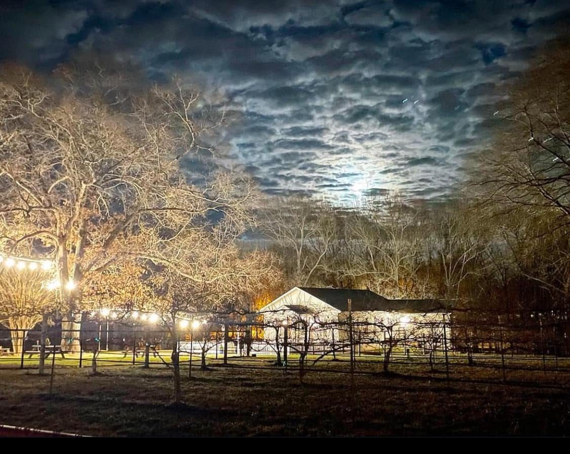The chapel lit up at night beyond the vineyard, string lights glowing under a moonlit sky